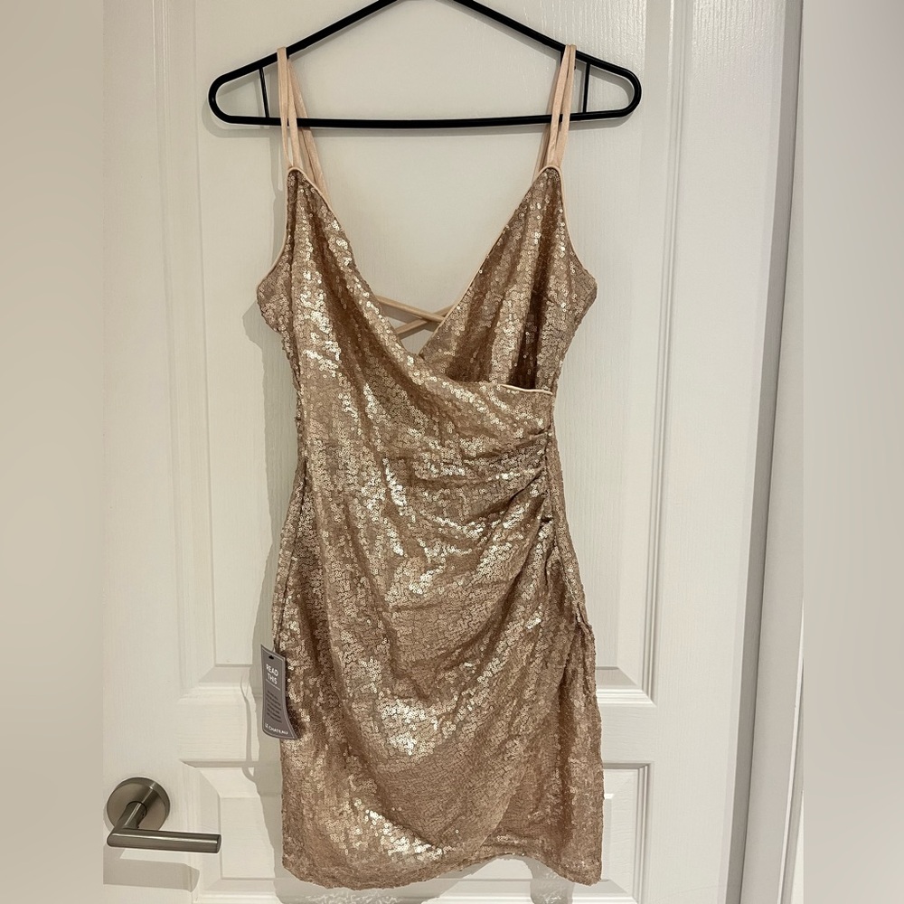 Le Chateau Sequin Dress